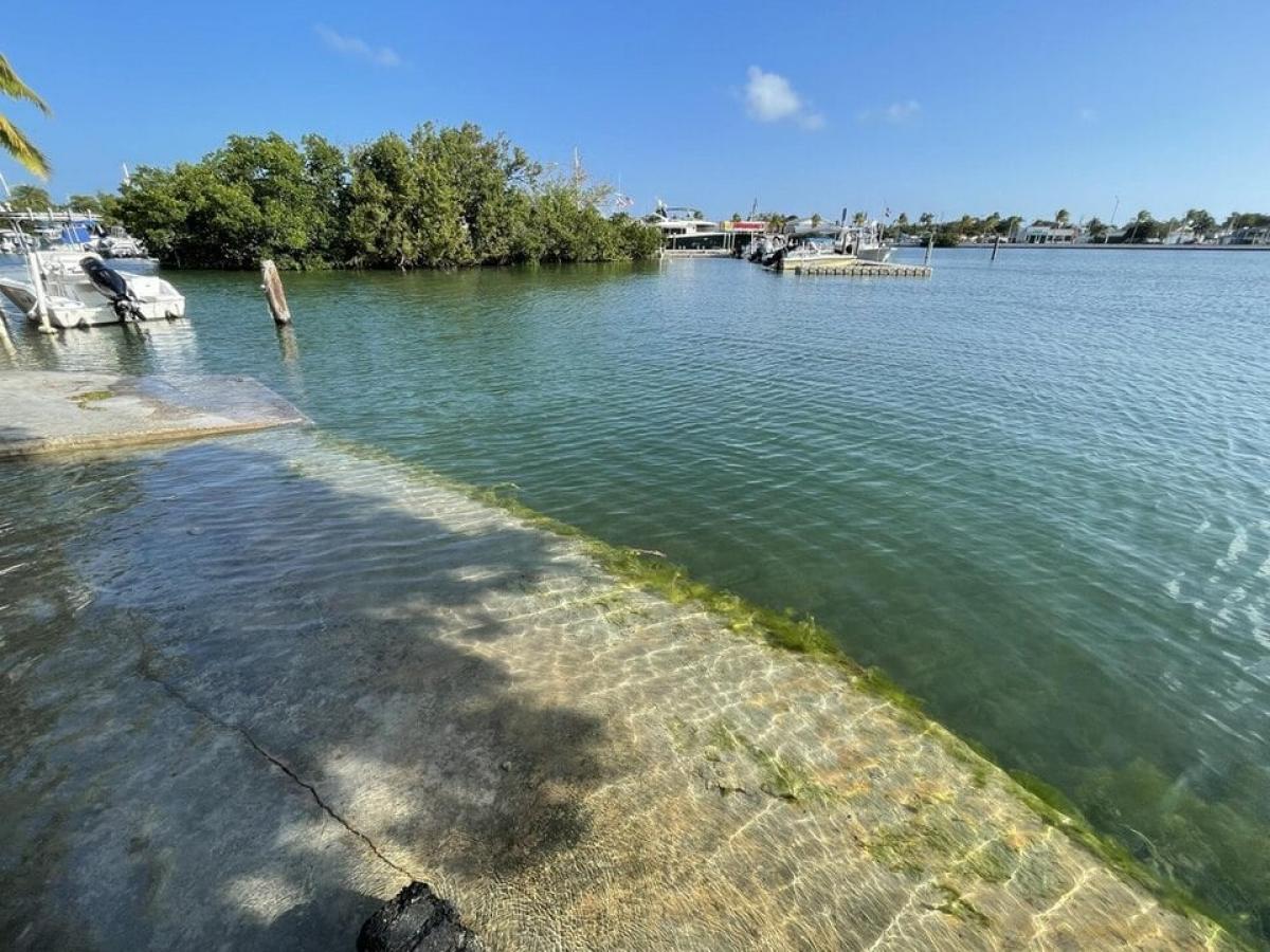 Picture of Residential Land For Sale in Key West, Florida, United States