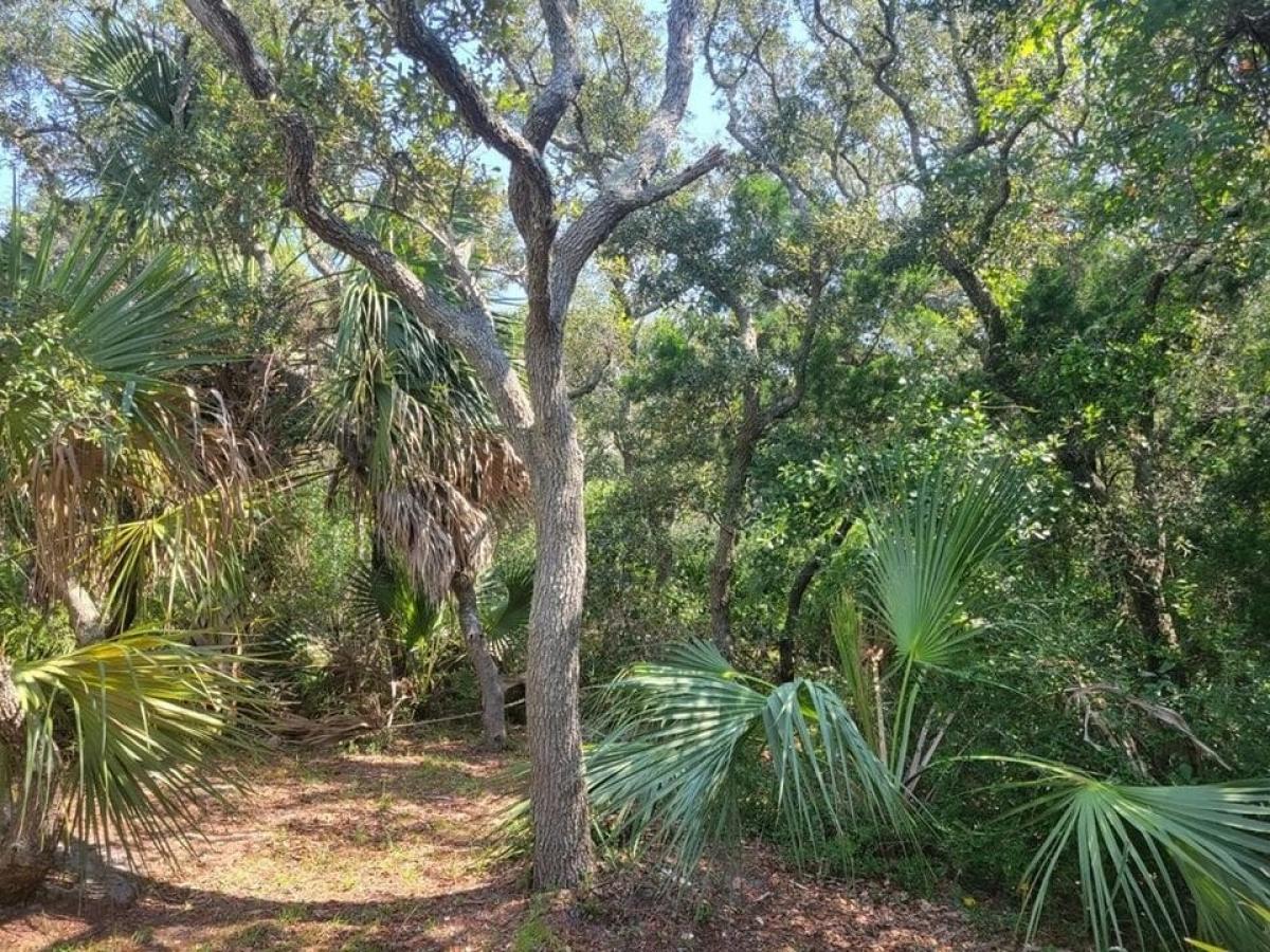 Picture of Residential Land For Sale in Saint George Island, Florida, United States