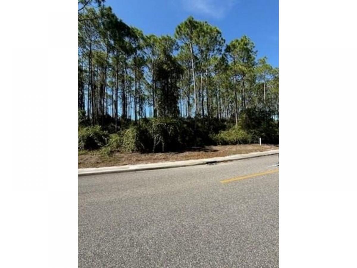 Picture of Residential Land For Sale in Carrabelle, Florida, United States