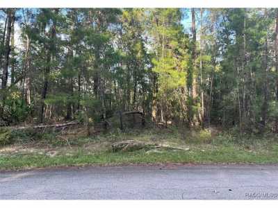 Residential Land For Sale in Homosassa, Florida