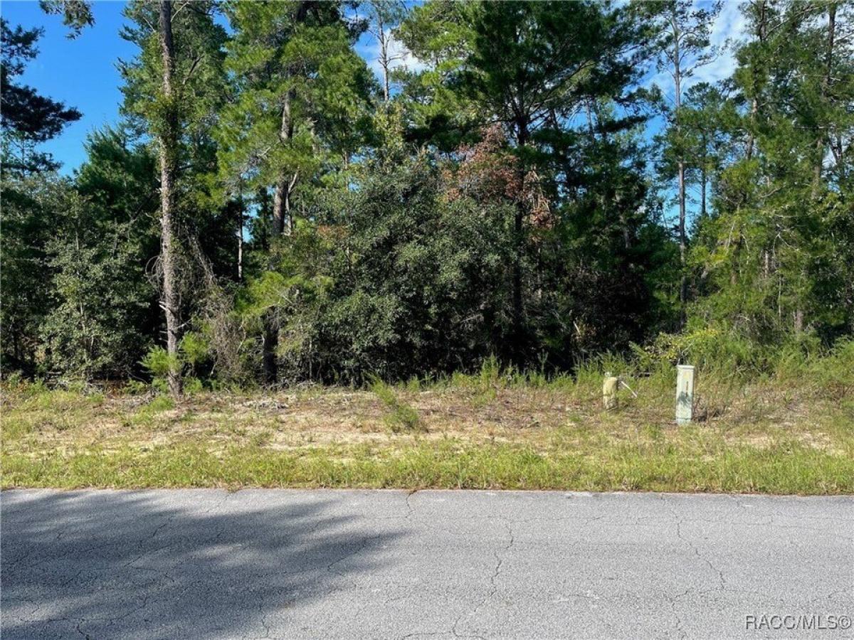 Picture of Residential Land For Sale in Homosassa, Florida, United States