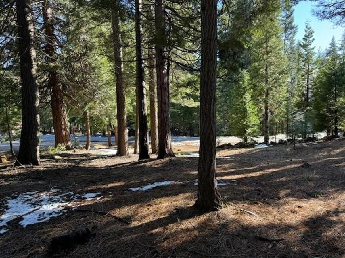 Picture of Residential Land For Sale in Lake Almanor, California, United States