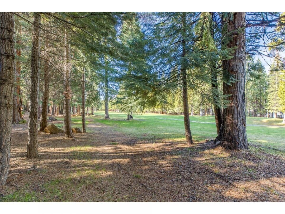 Picture of Residential Land For Sale in Lake Almanor West, California, United States