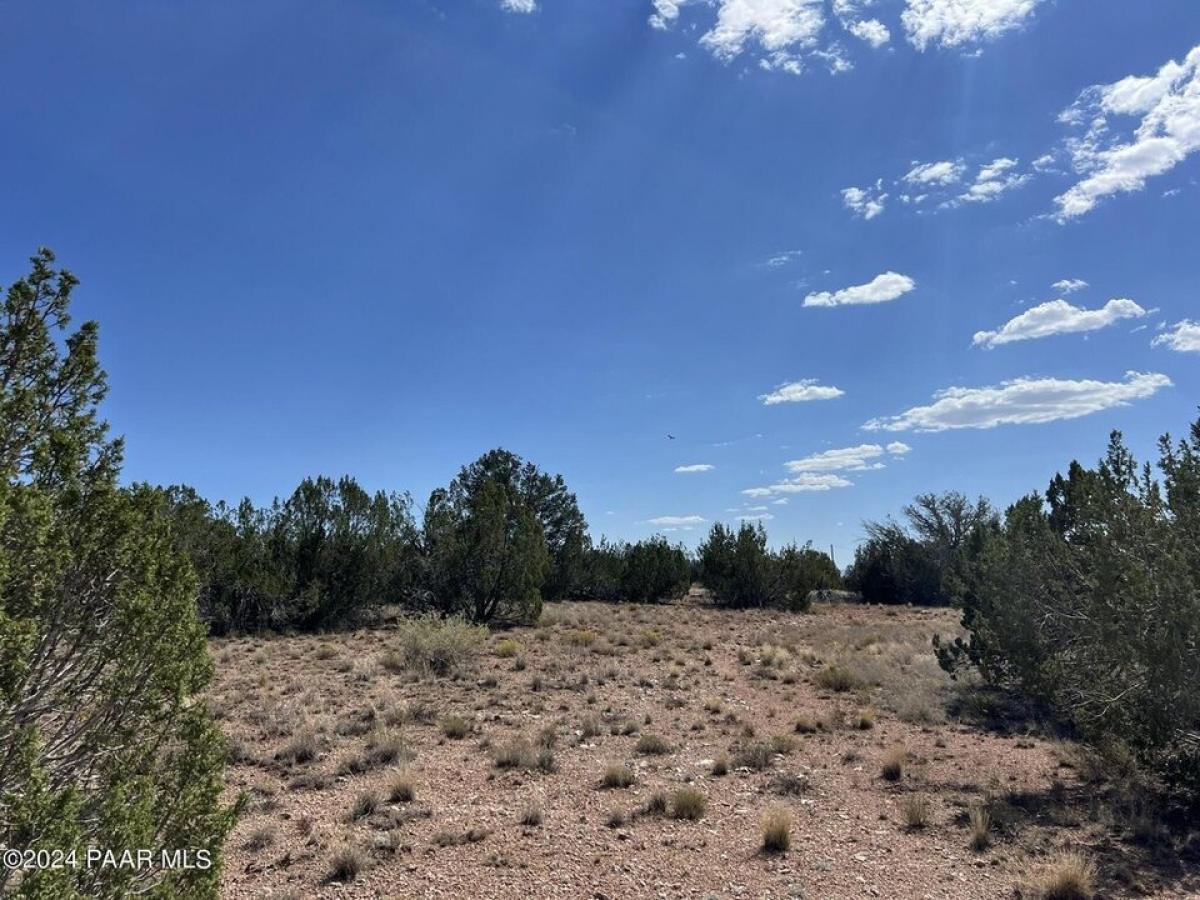 Picture of Residential Land For Sale in Seligman, Arizona, United States