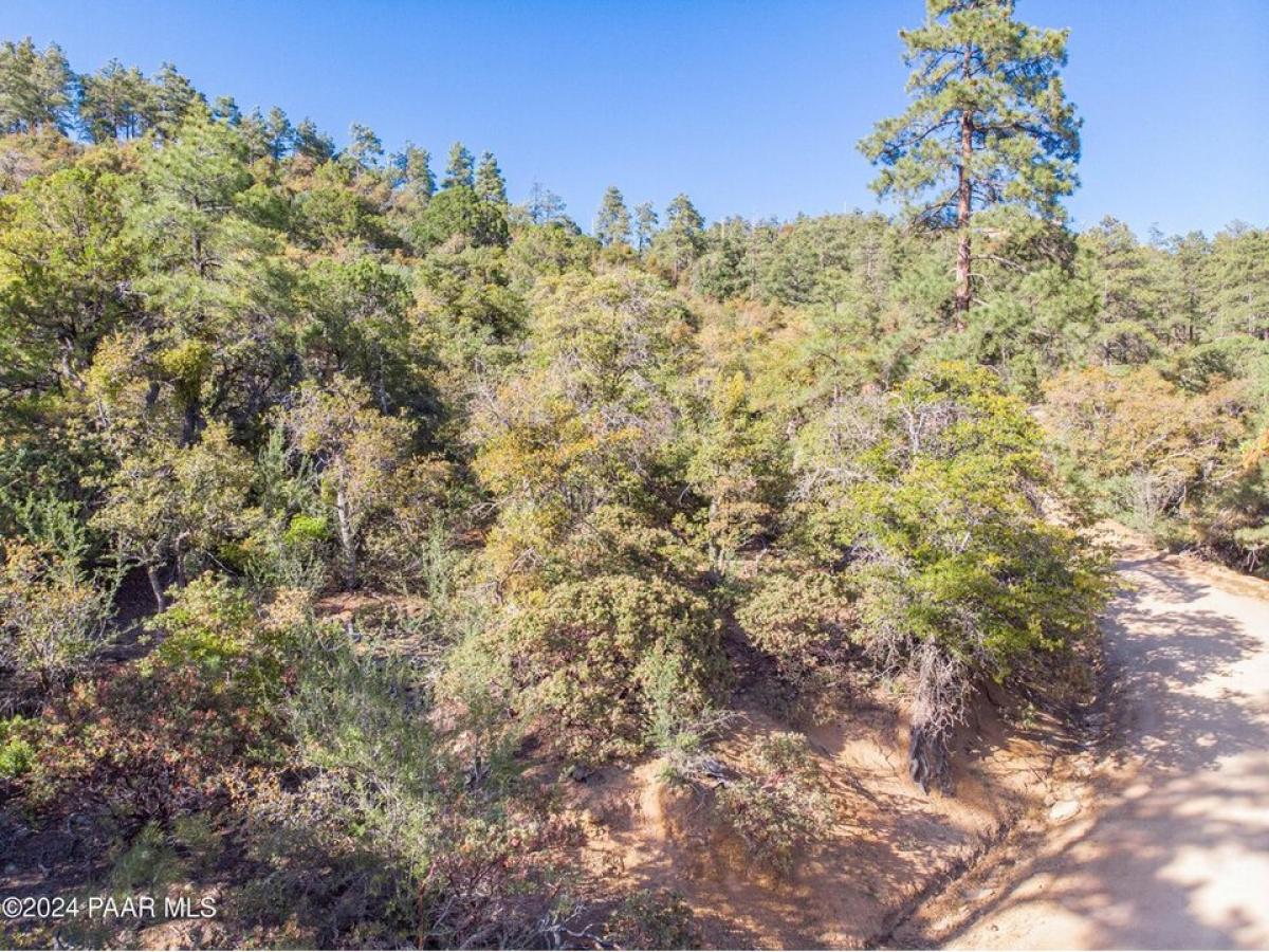 Picture of Residential Land For Sale in Prescott, Arizona, United States