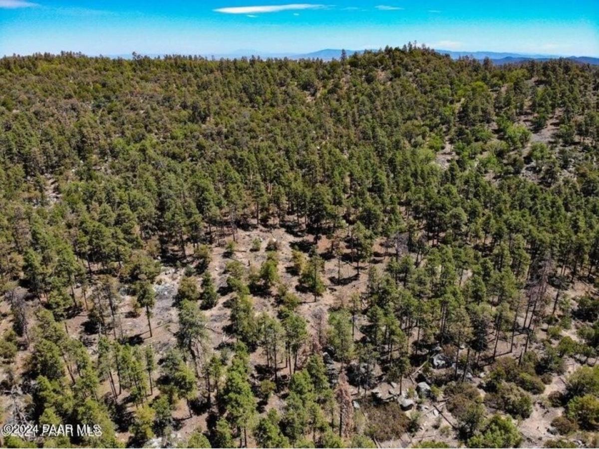 Picture of Residential Land For Sale in Prescott, Arizona, United States