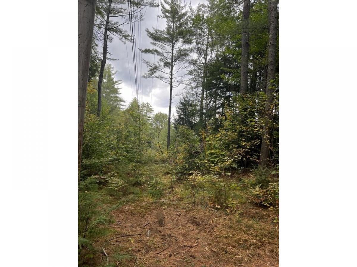 Picture of Residential Land For Sale in Thornton, New Hampshire, United States