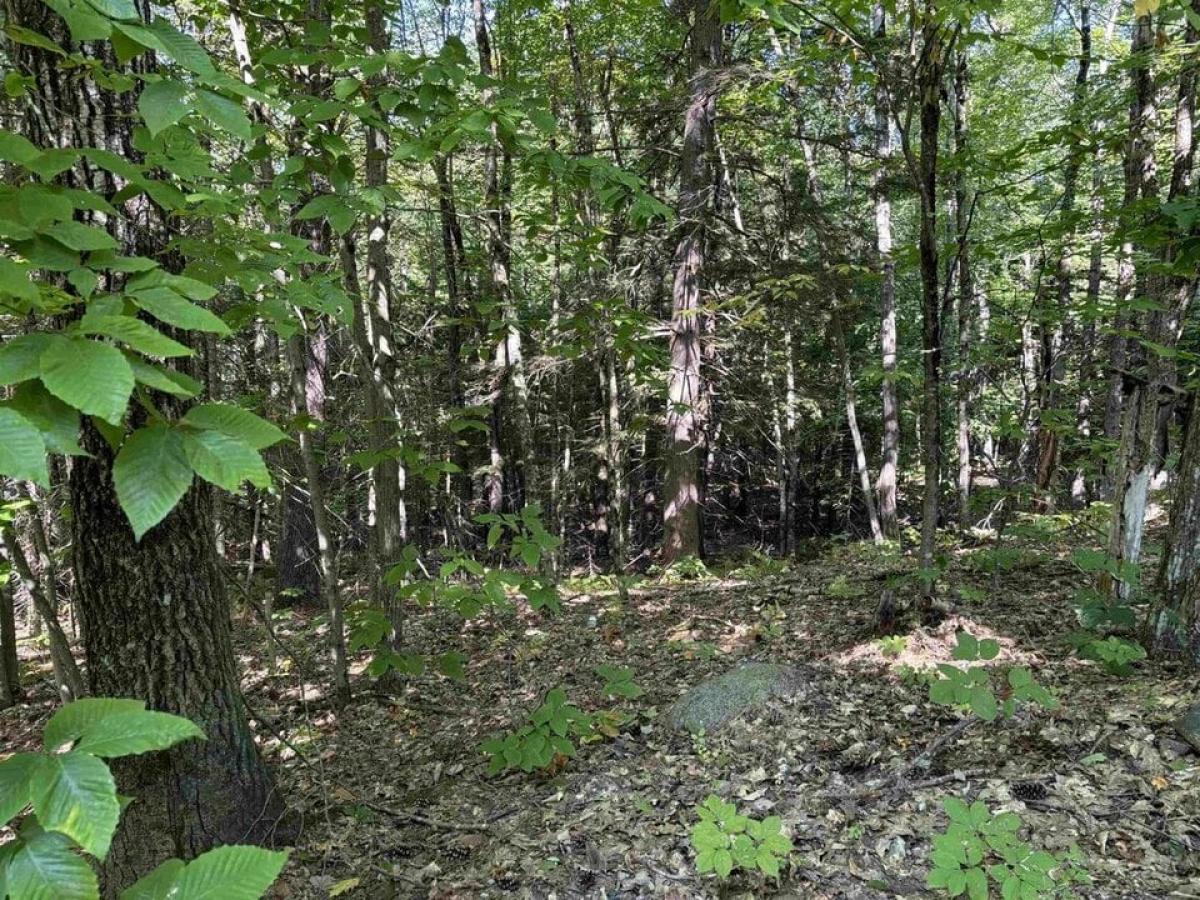 Picture of Residential Land For Sale in Ossipee, New Hampshire, United States