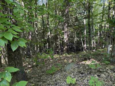 Residential Land For Sale in 