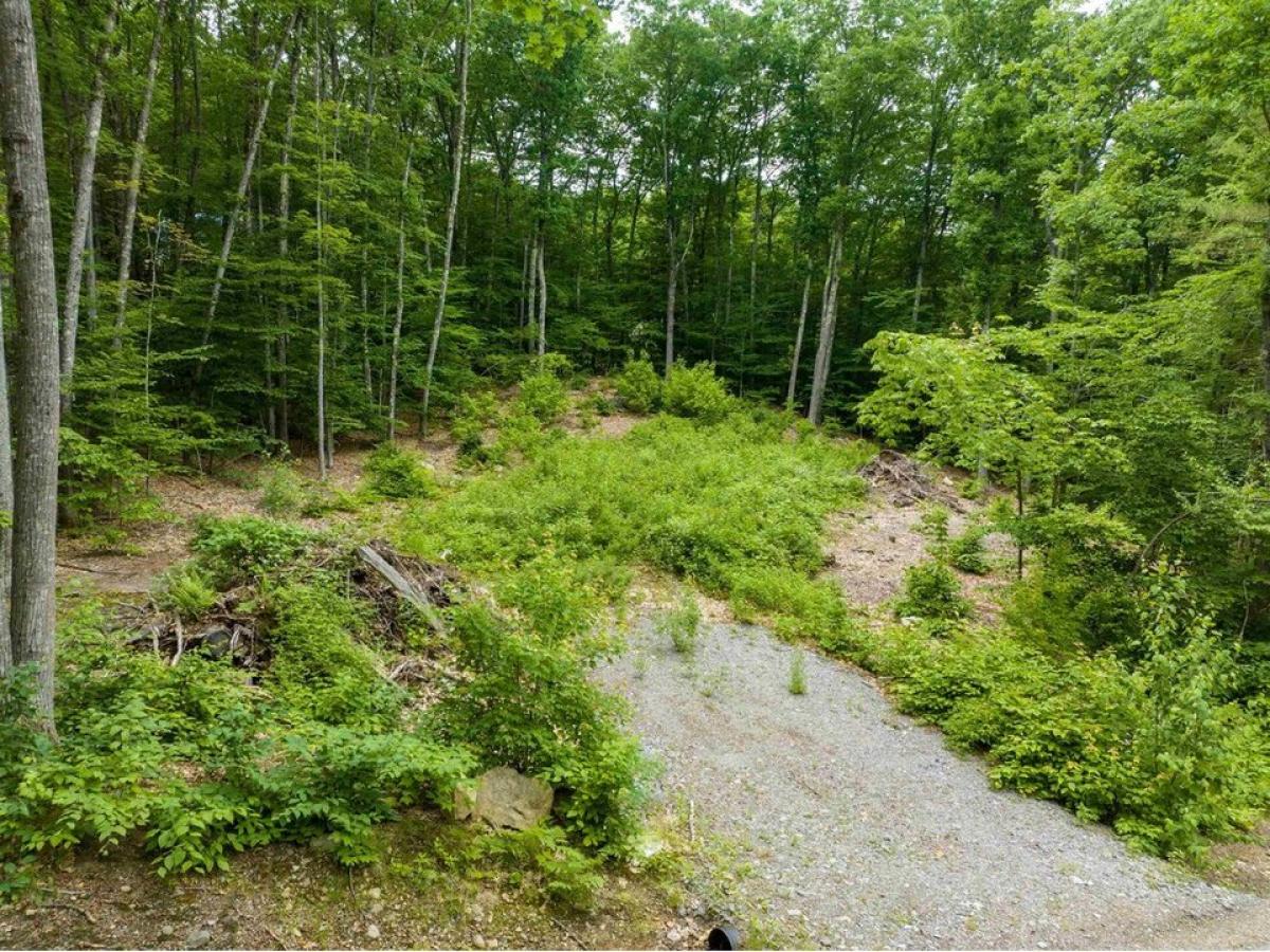 Picture of Residential Land For Sale in Gilford, New Hampshire, United States