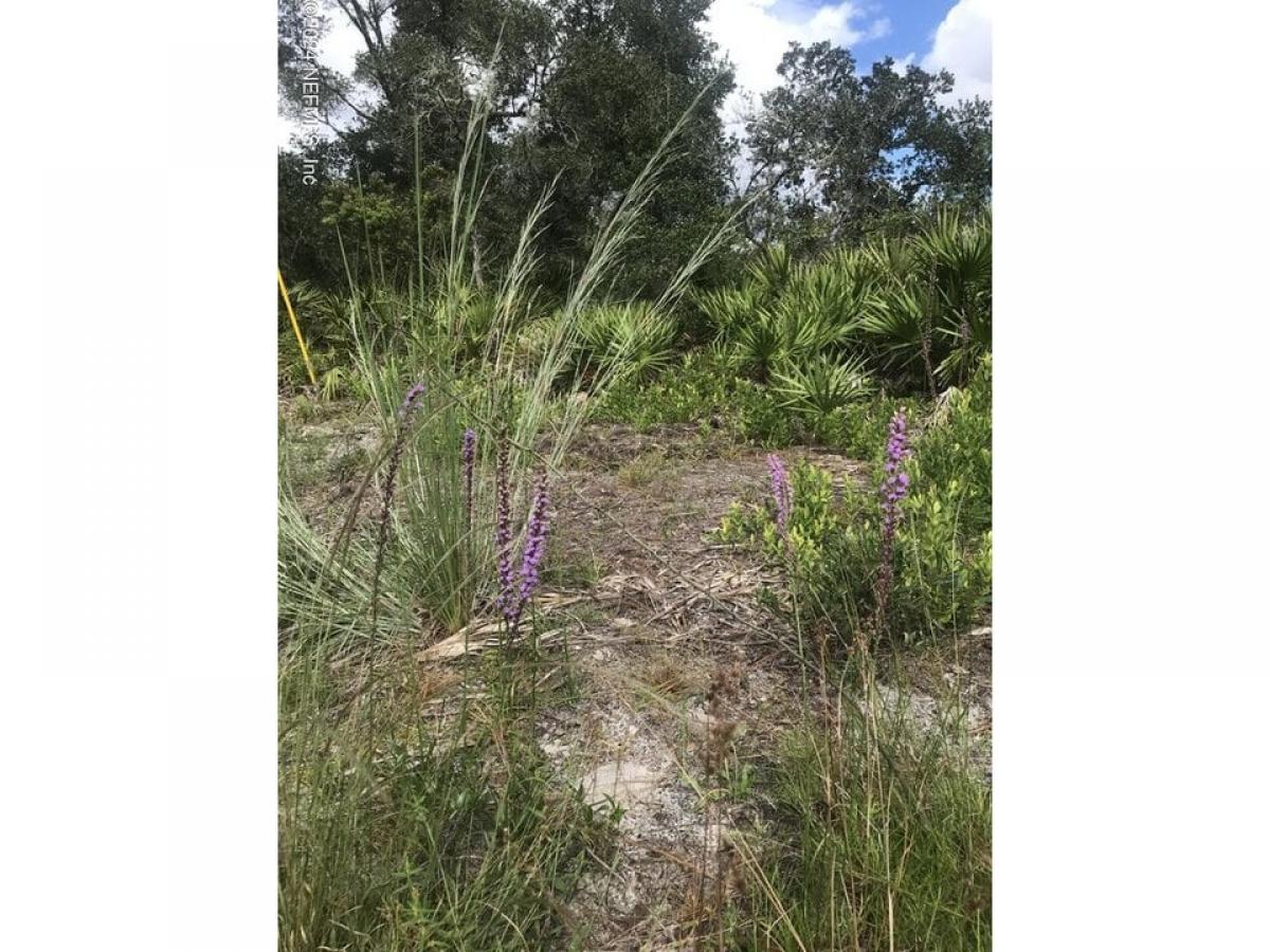 Picture of Residential Land For Sale in Satsuma, Florida, United States