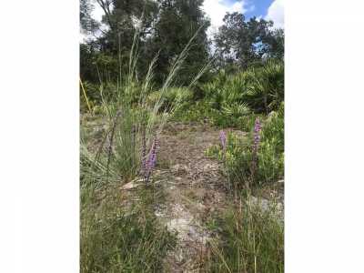 Residential Land For Sale in Satsuma, Florida