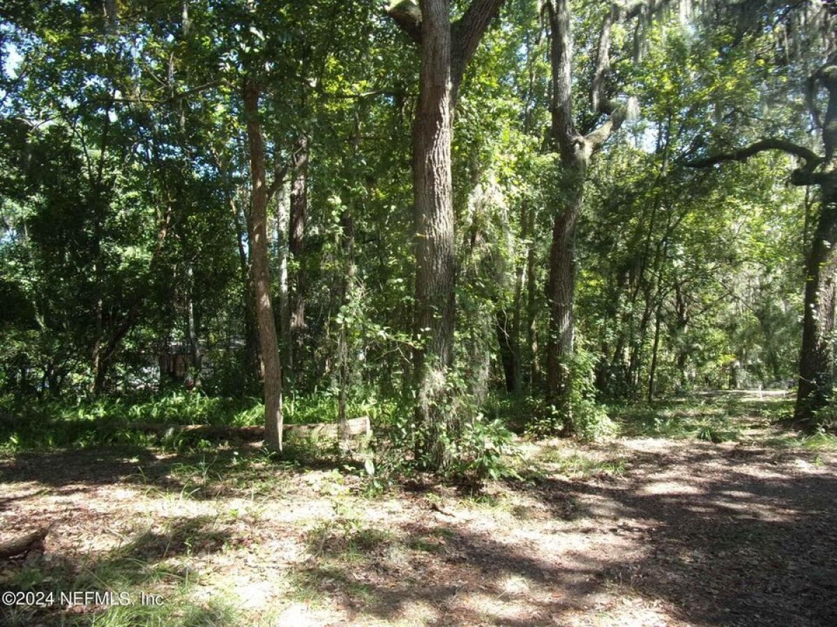 Picture of Residential Land For Sale in Palatka, Florida, United States