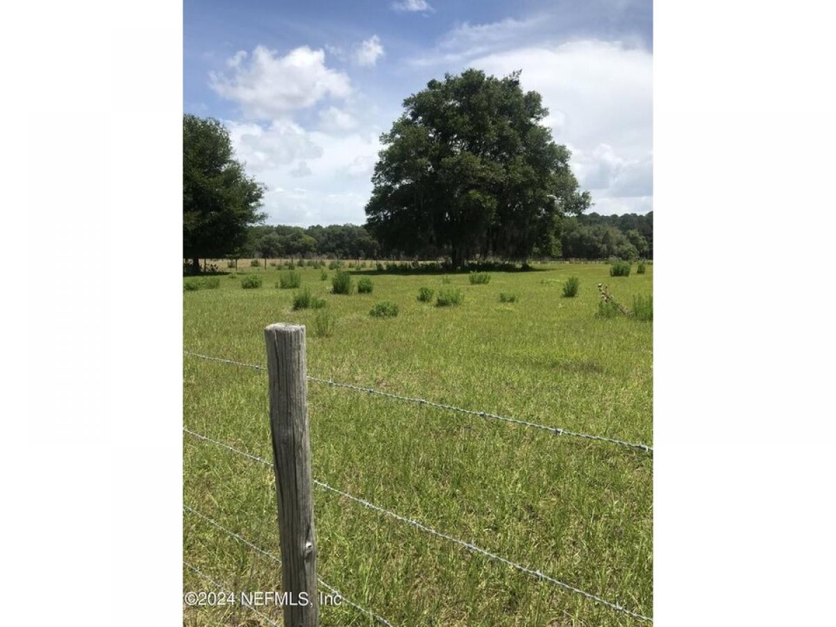 Picture of Residential Land For Sale in Crescent City, Florida, United States