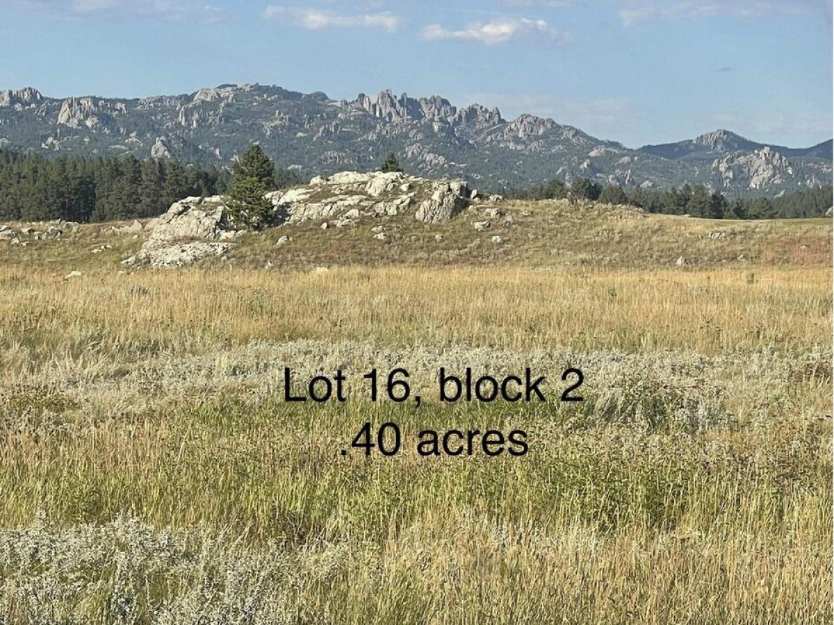 Picture of Residential Land For Sale in Custer, South Dakota, United States