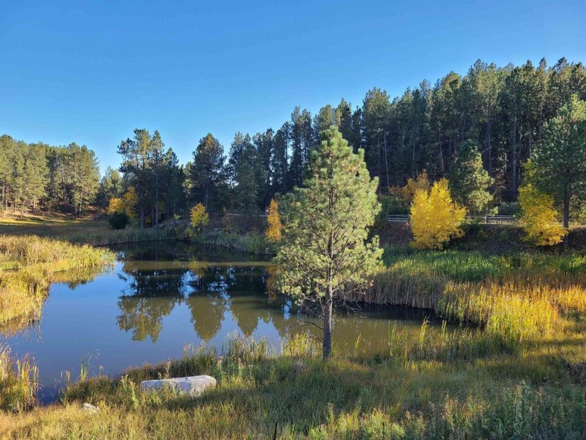 Picture of Residential Land For Sale in Custer, South Dakota, United States