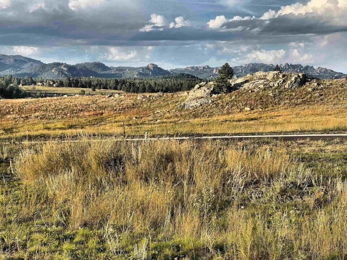 Picture of Residential Land For Sale in Custer, South Dakota, United States