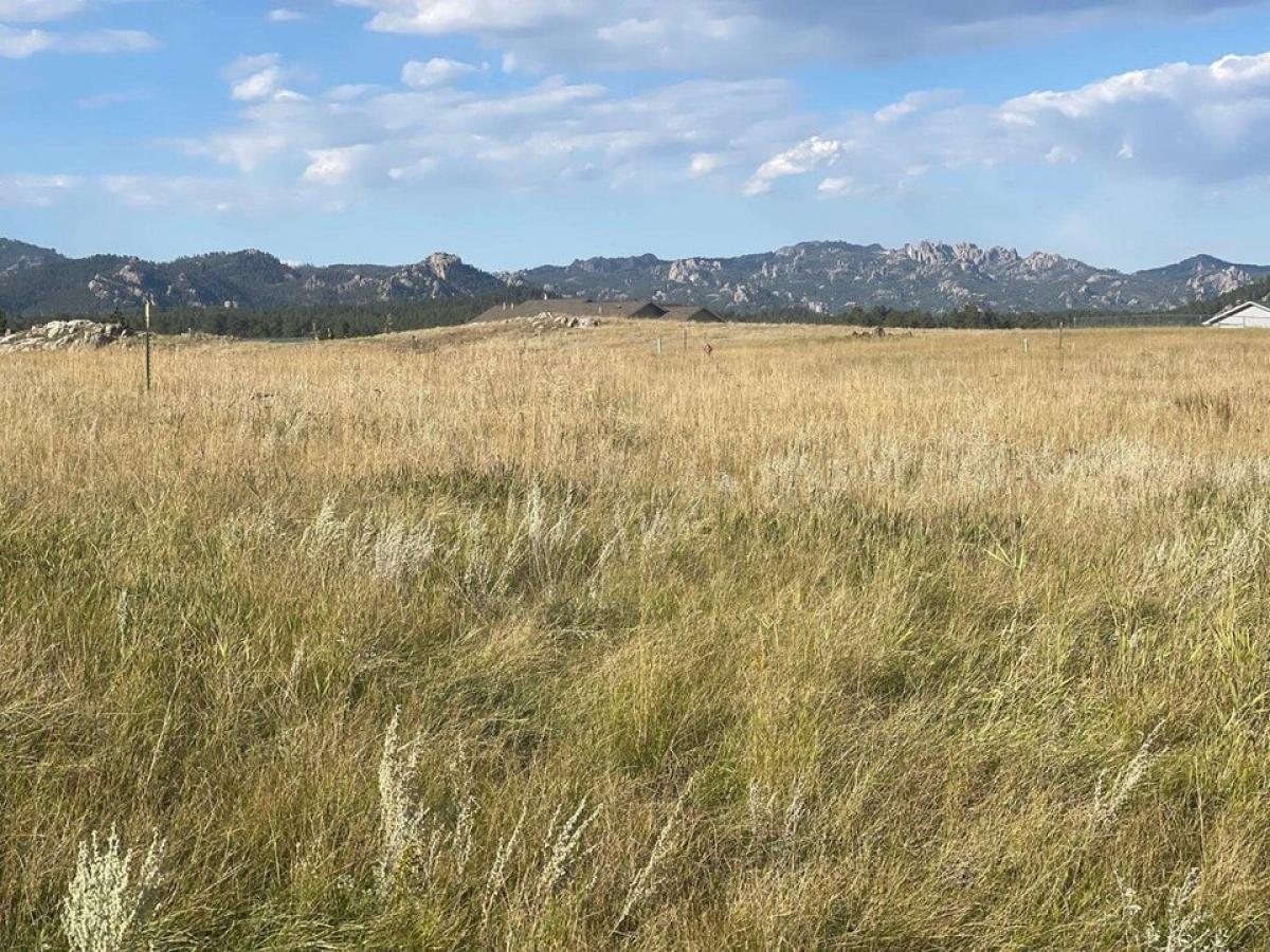 Picture of Residential Land For Sale in Custer, South Dakota, United States