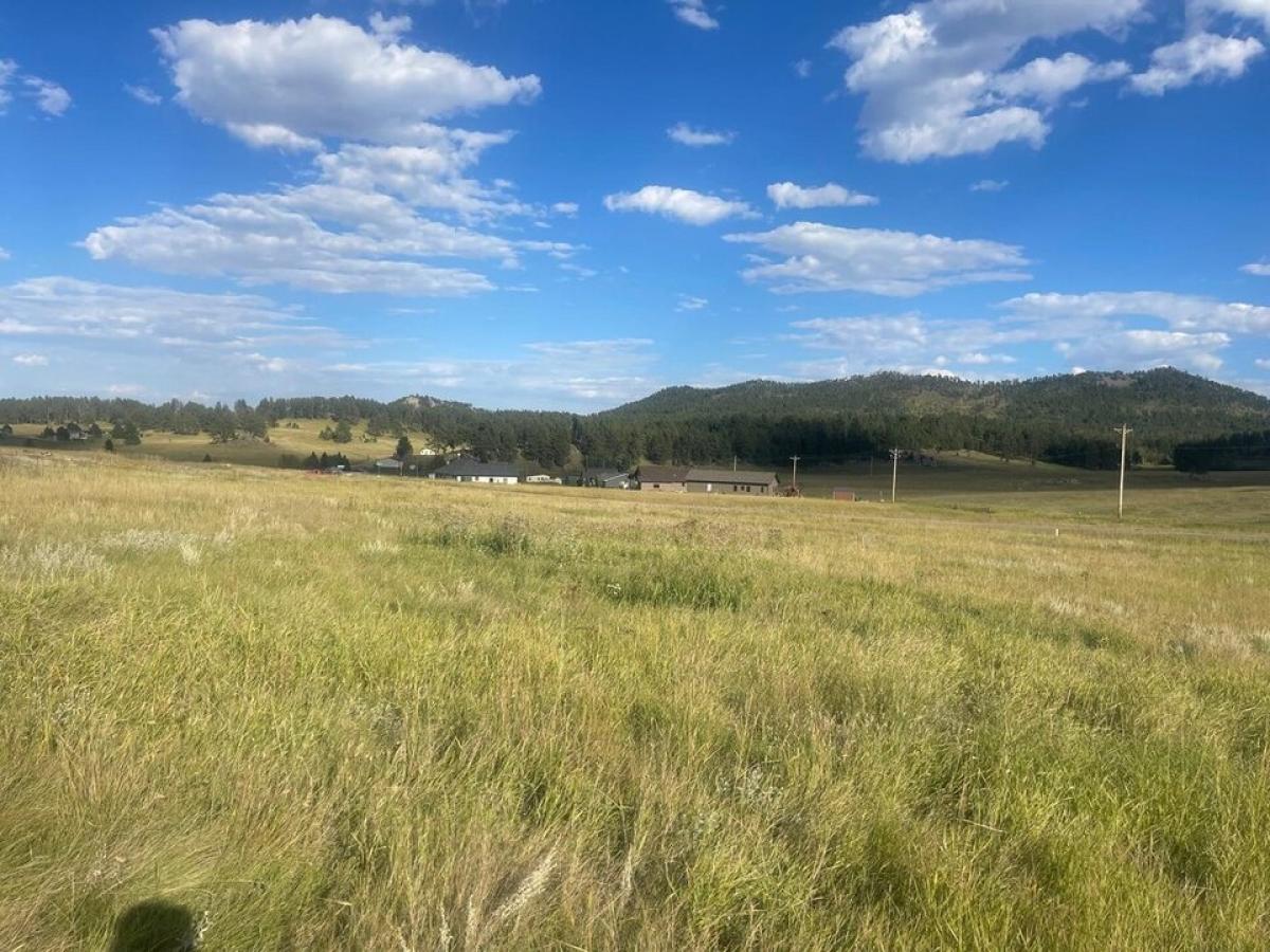 Picture of Residential Land For Sale in Custer, South Dakota, United States