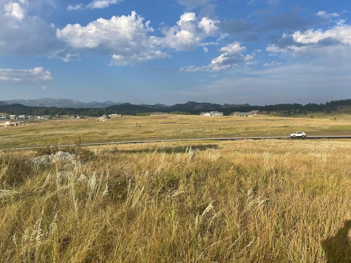 Picture of Residential Land For Sale in Custer, South Dakota, United States