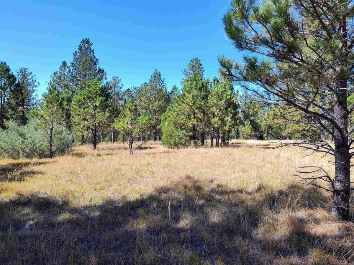 Picture of Residential Land For Sale in Custer, South Dakota, United States