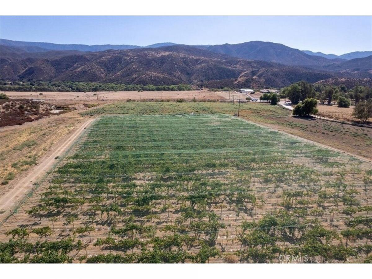 Picture of Residential Land For Sale in Aguanga, California, United States