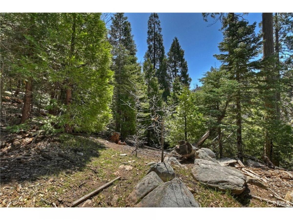 Picture of Residential Land For Sale in Lake Arrowhead, California, United States