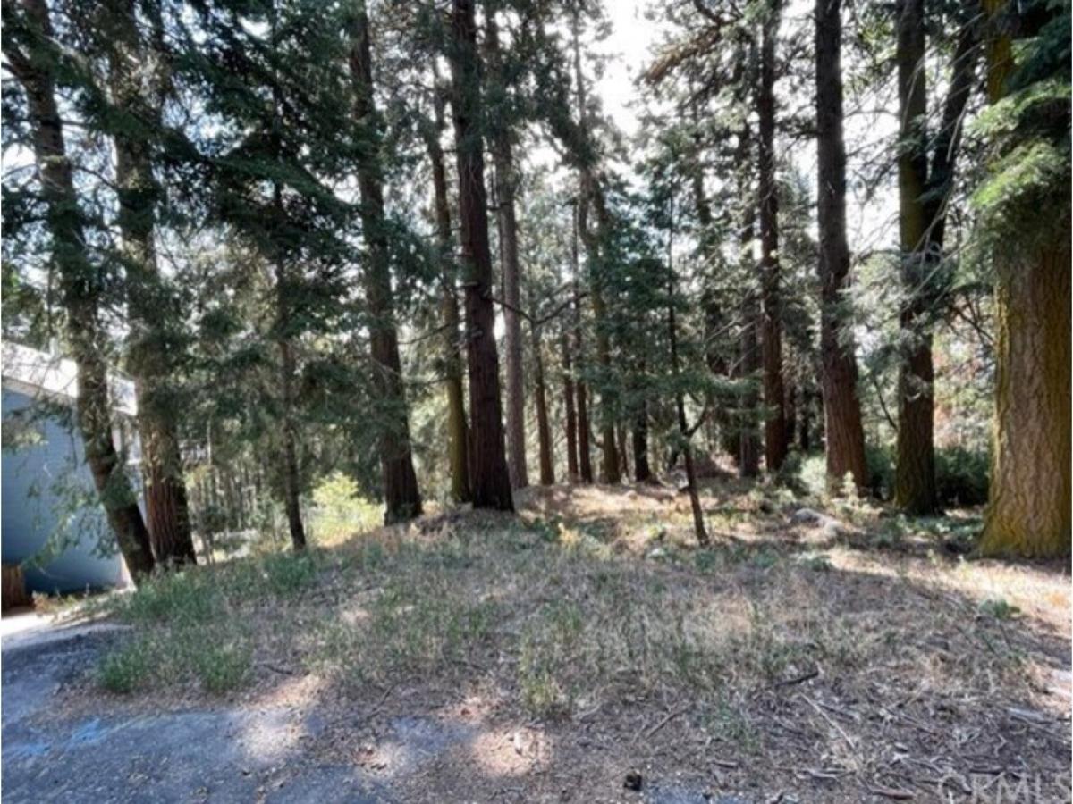 Picture of Residential Land For Sale in Cedarpines Park, California, United States