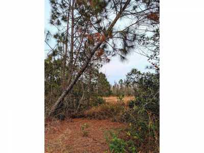 Residential Land For Sale in Polk City, Florida