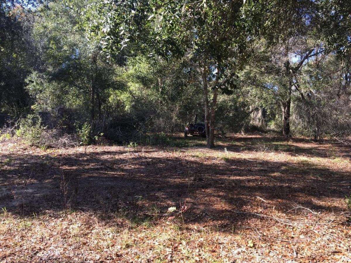 Picture of Residential Land For Sale in Ocklawaha, Florida, United States