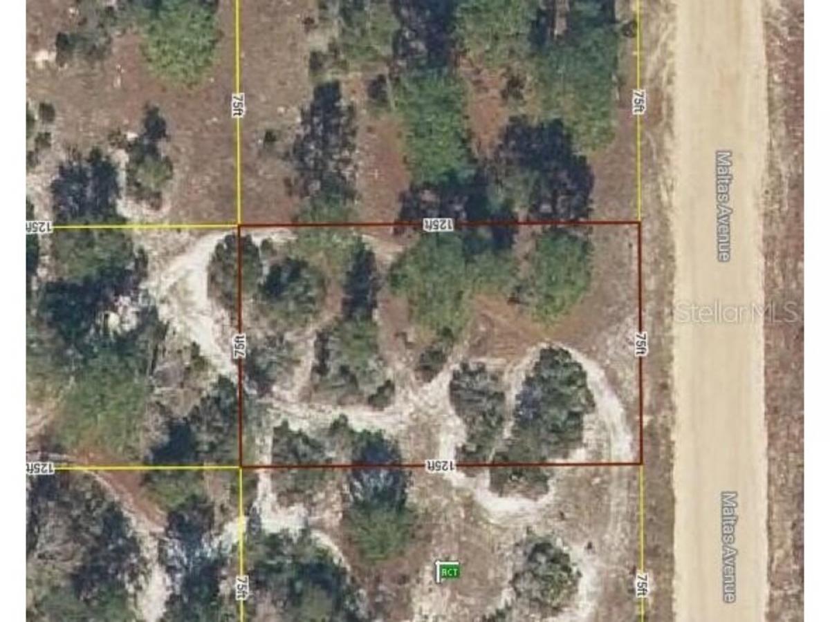 Picture of Residential Land For Rent in Interlachen, Florida, United States