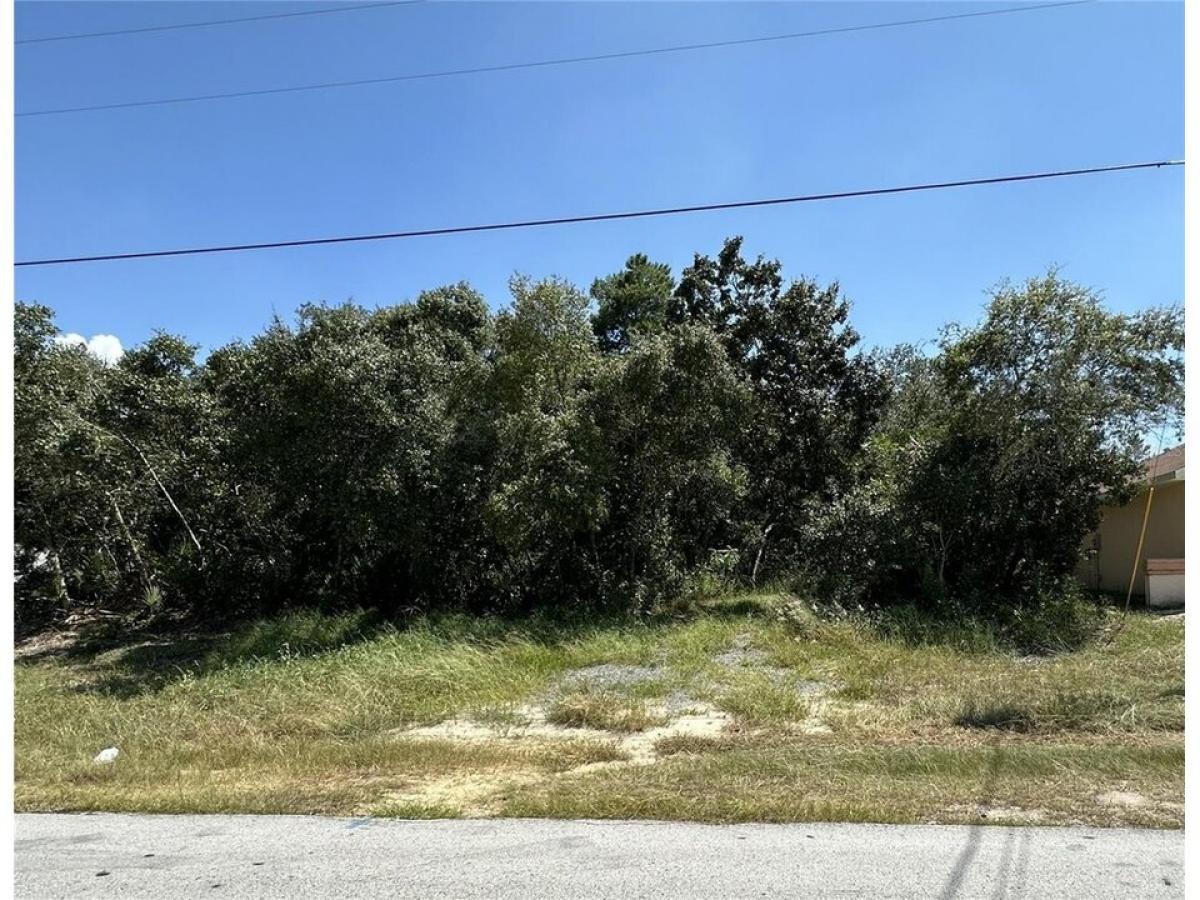 Picture of Residential Land For Sale in Ocala, Florida, United States