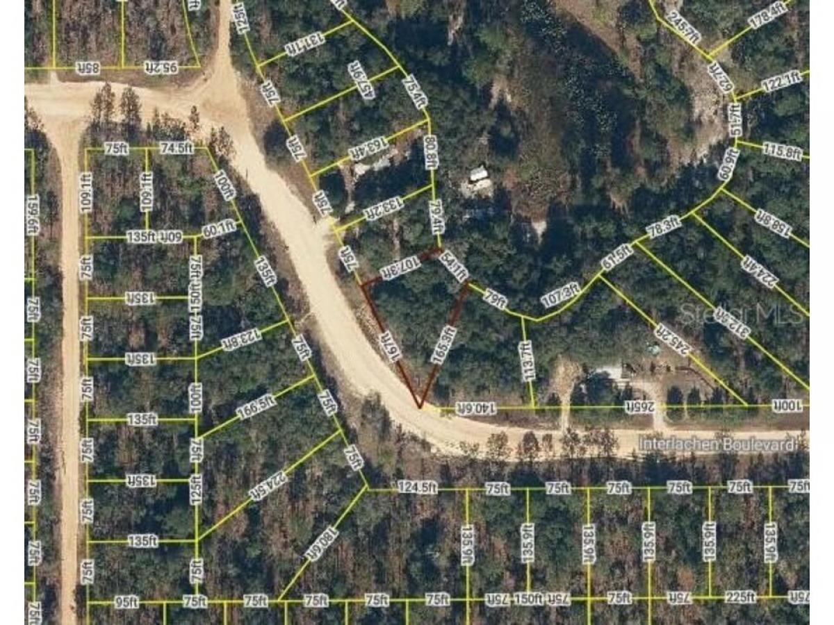 Picture of Residential Land For Rent in Interlachen, Florida, United States