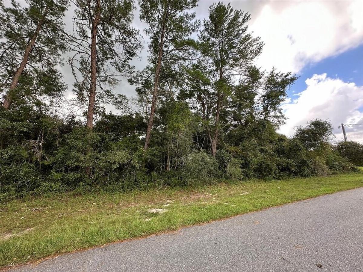 Picture of Residential Land For Sale in Ocala, Florida, United States