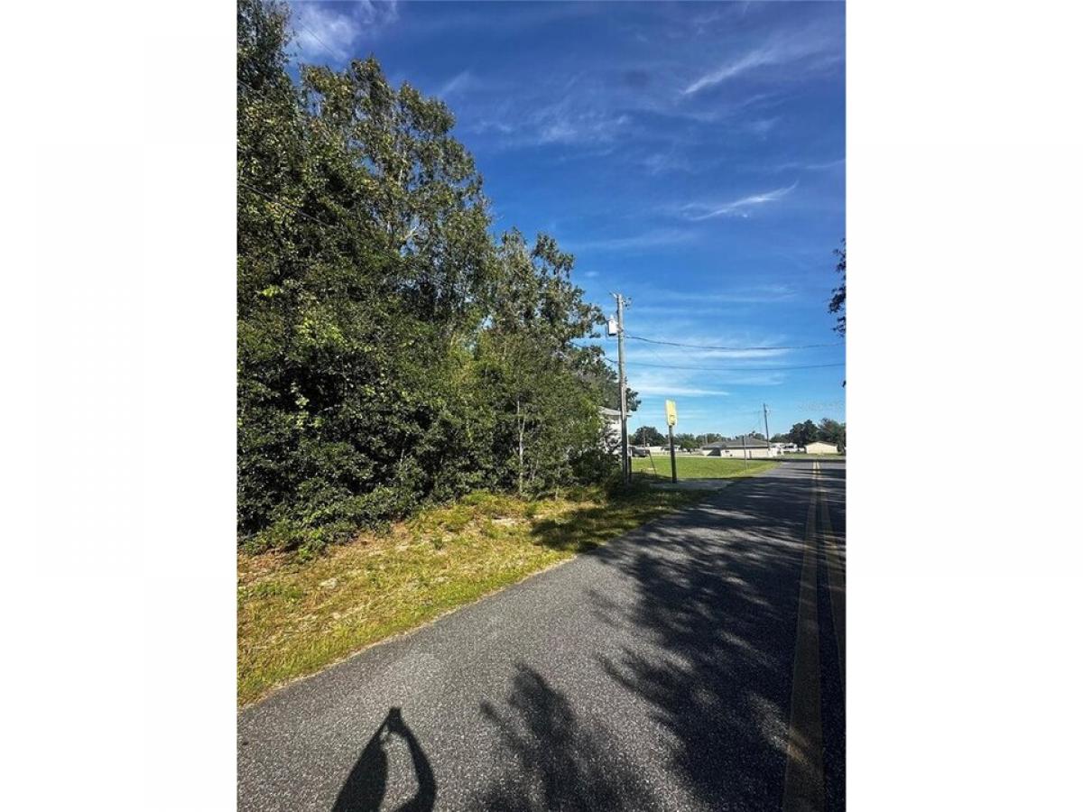 Picture of Residential Land For Sale in Summerfield, Florida, United States