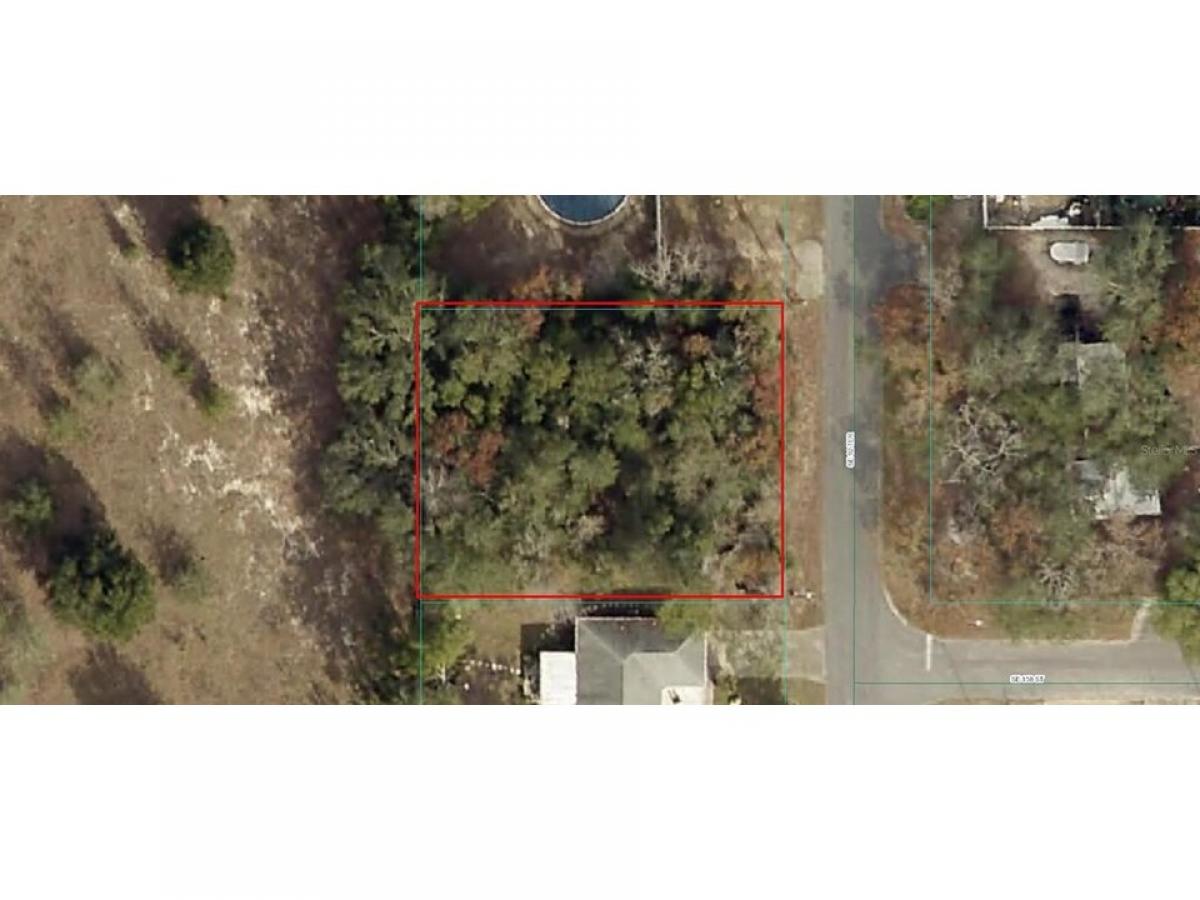 Picture of Residential Land For Sale in Summerfield, Florida, United States