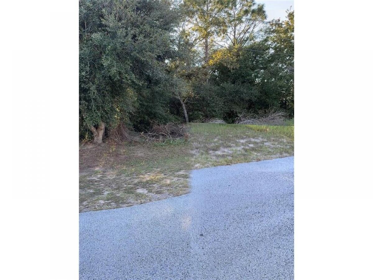 Picture of Residential Land For Sale in Ocala, Florida, United States