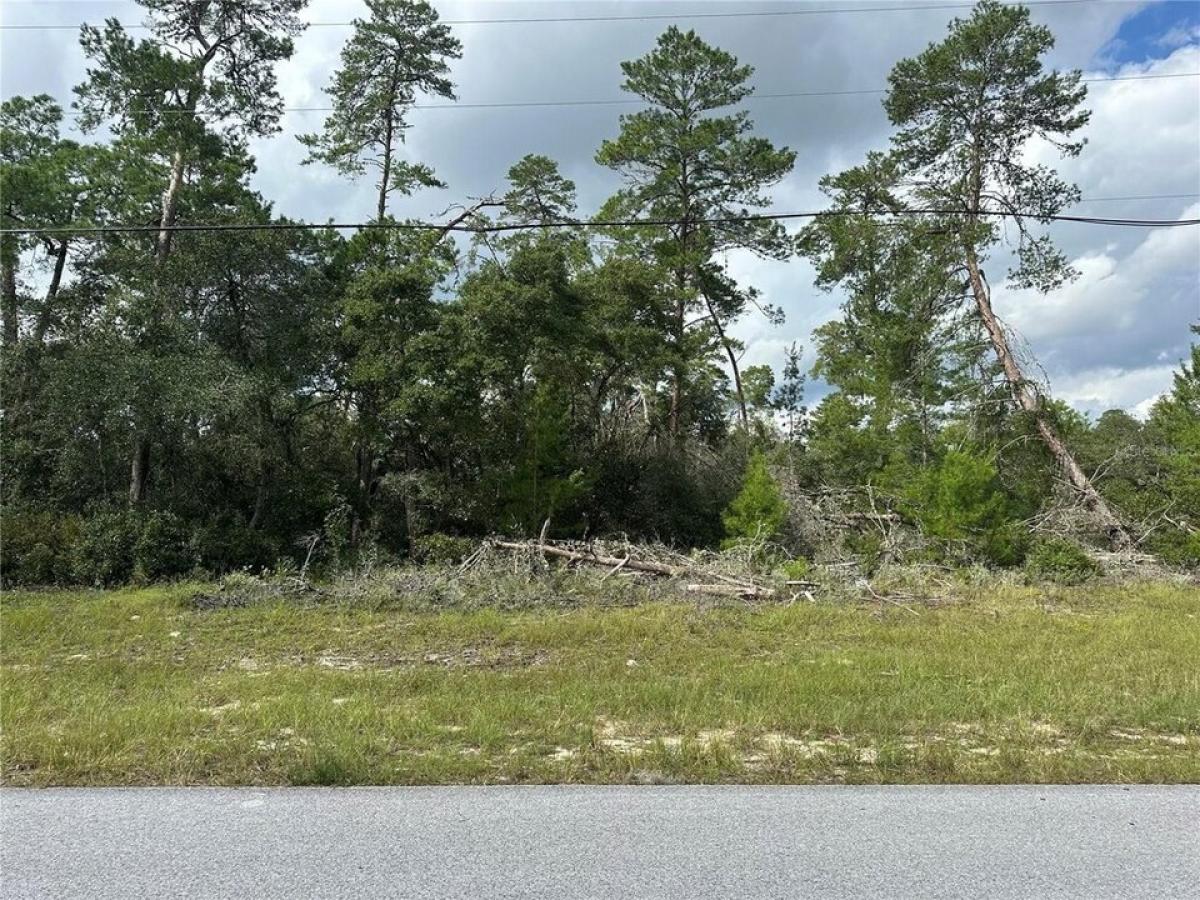 Picture of Residential Land For Sale in Ocala, Florida, United States