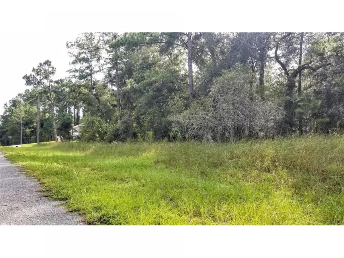 Picture of Residential Land For Sale in Dunnellon, Florida, United States