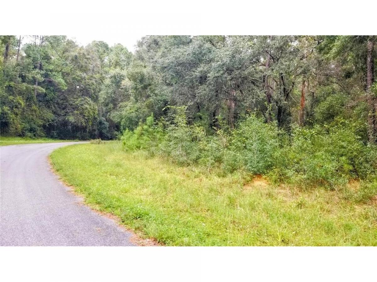 Picture of Residential Land For Sale in Dunnellon, Florida, United States