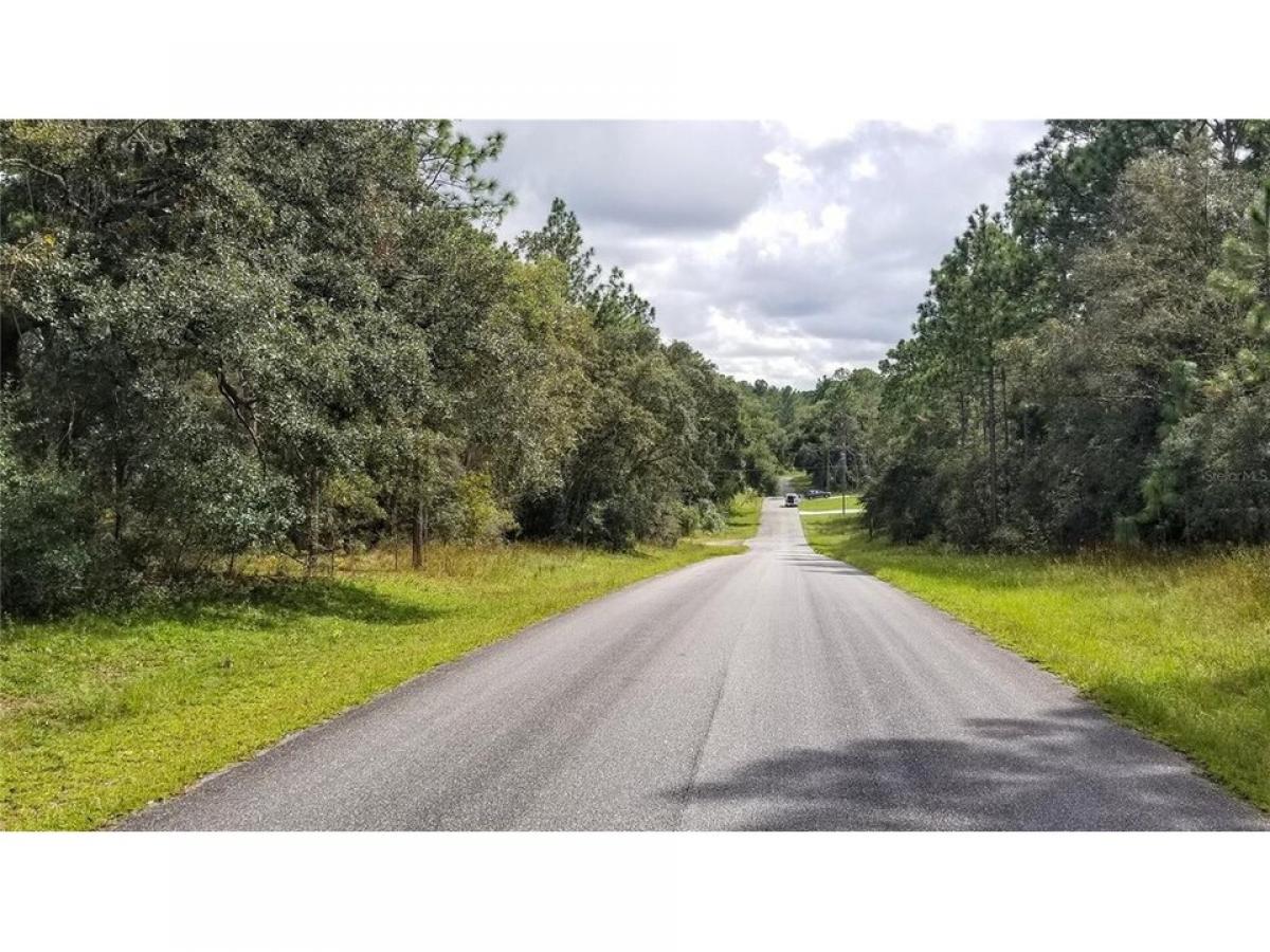 Picture of Residential Land For Sale in Dunnellon, Florida, United States