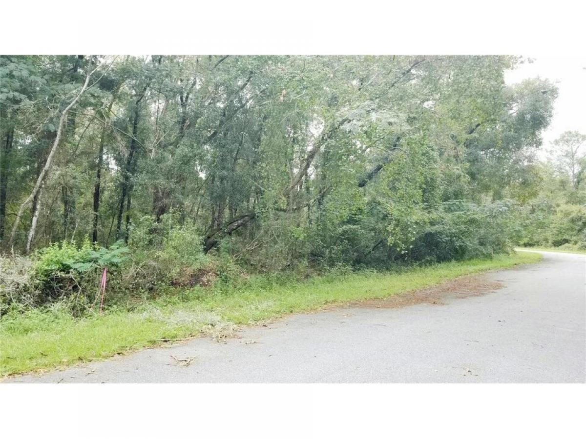 Picture of Residential Land For Sale in Dunnellon, Florida, United States