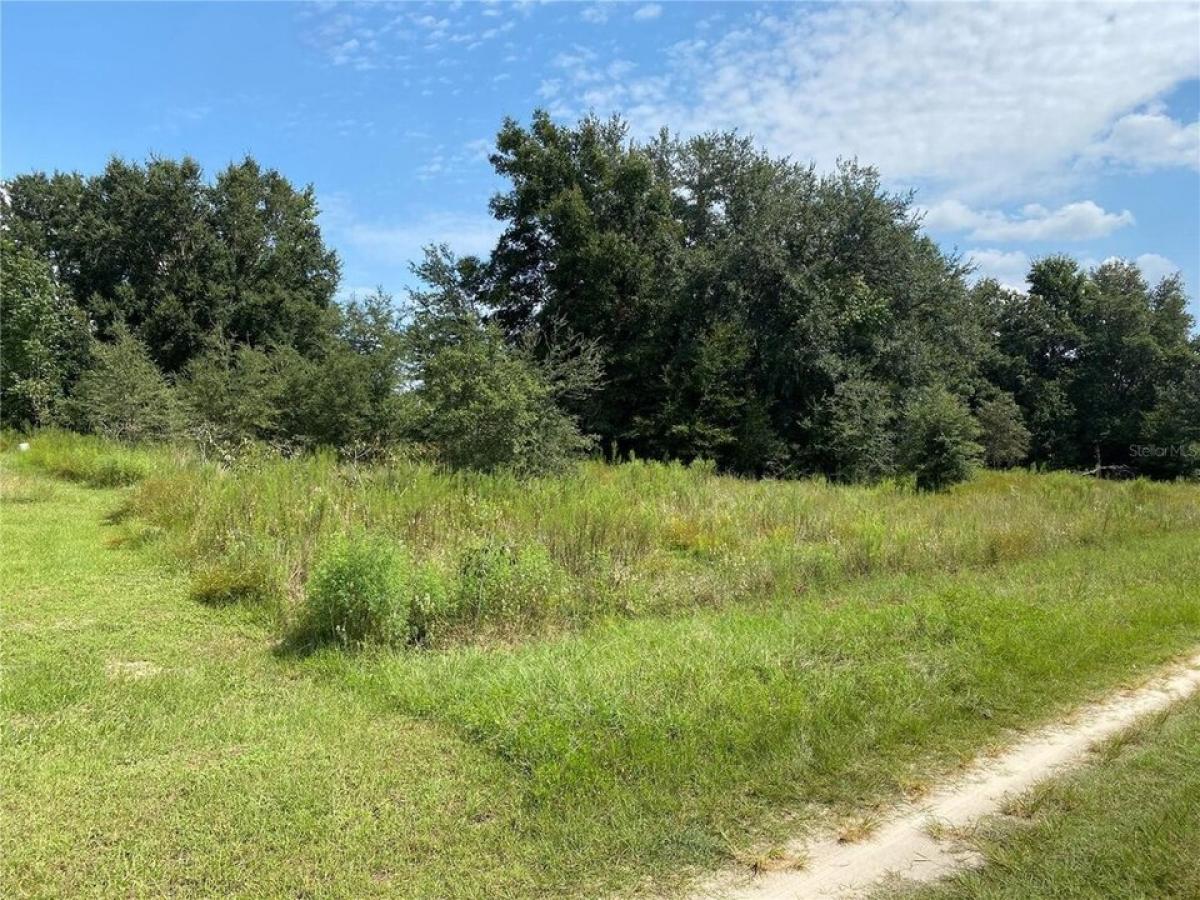 Picture of Residential Land For Sale in Dunnellon, Florida, United States