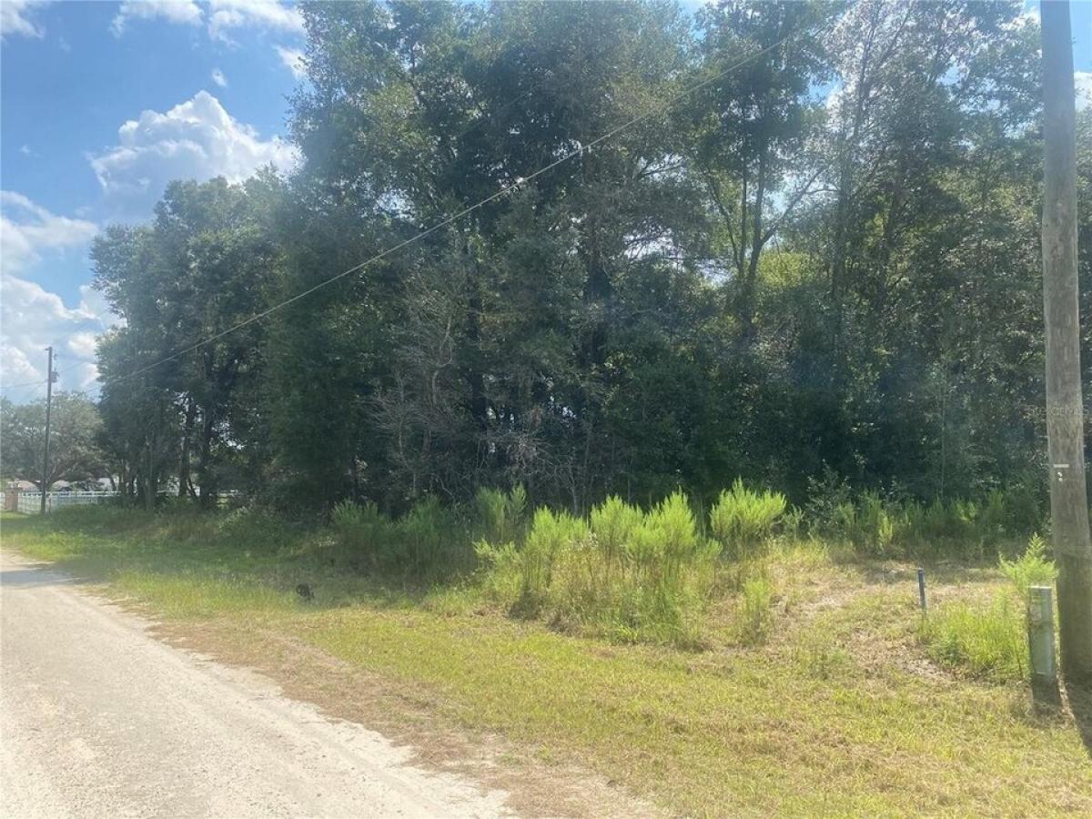 Picture of Residential Land For Sale in Dunnellon, Florida, United States