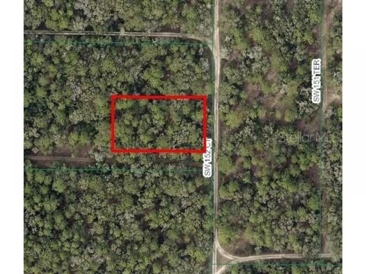 Picture of Residential Land For Sale in Ocala, Florida, United States