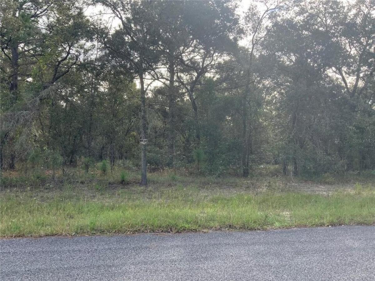 Picture of Residential Land For Sale in Morriston, Florida, United States