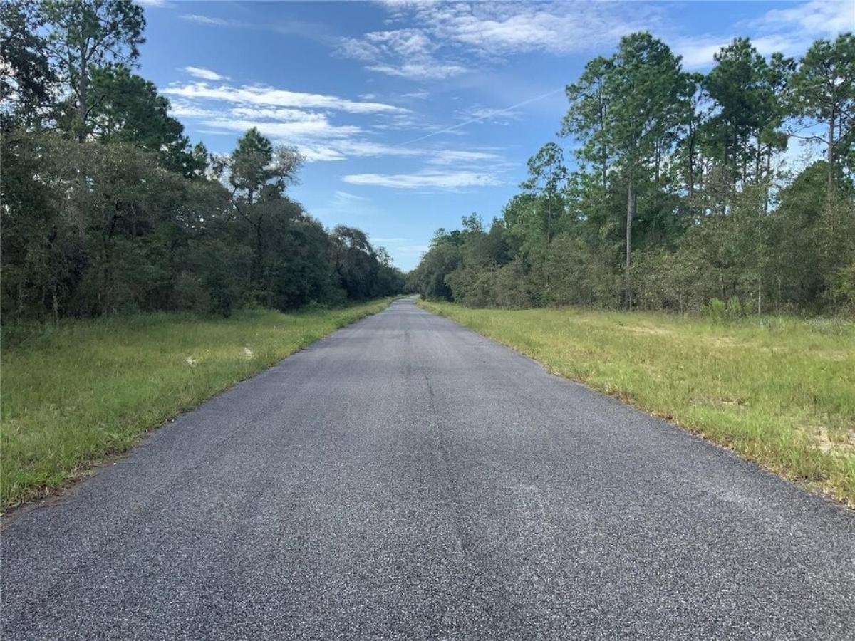 Picture of Residential Land For Sale in Morriston, Florida, United States