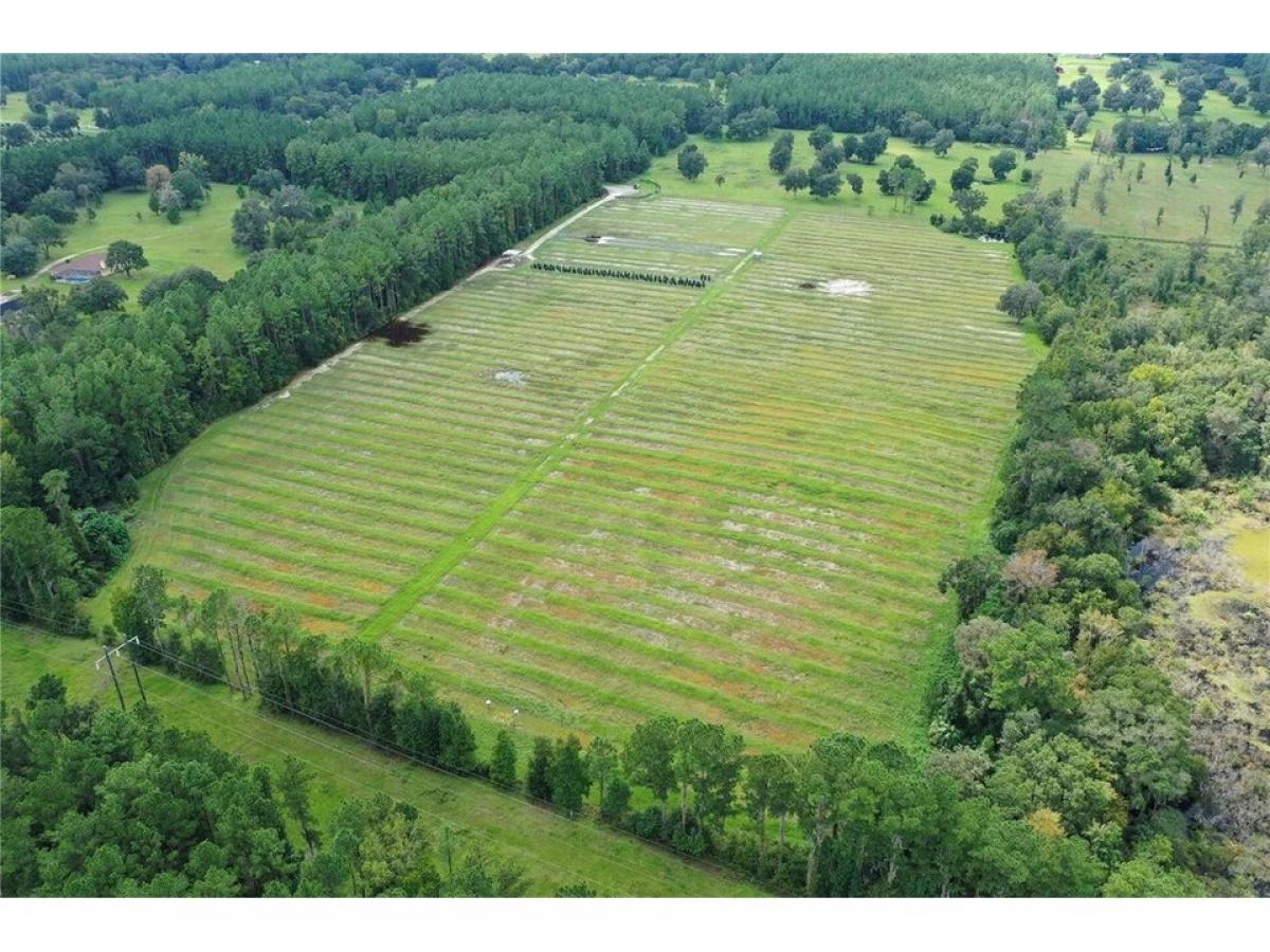 Picture of Residential Land For Sale in Reddick, Florida, United States