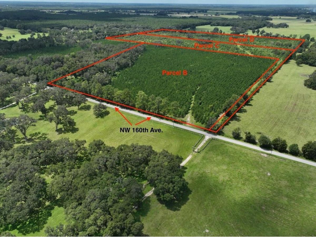 Picture of Residential Land For Sale in Morriston, Florida, United States