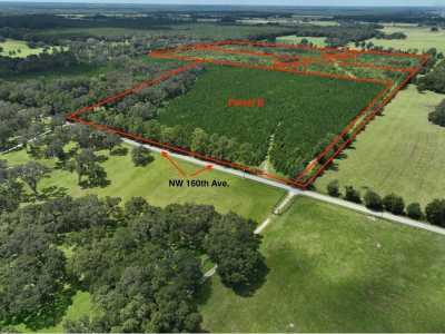 Residential Land For Sale in Morriston, Florida